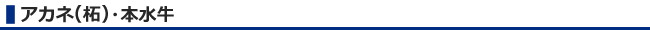 アカネ（柘）・本水牛